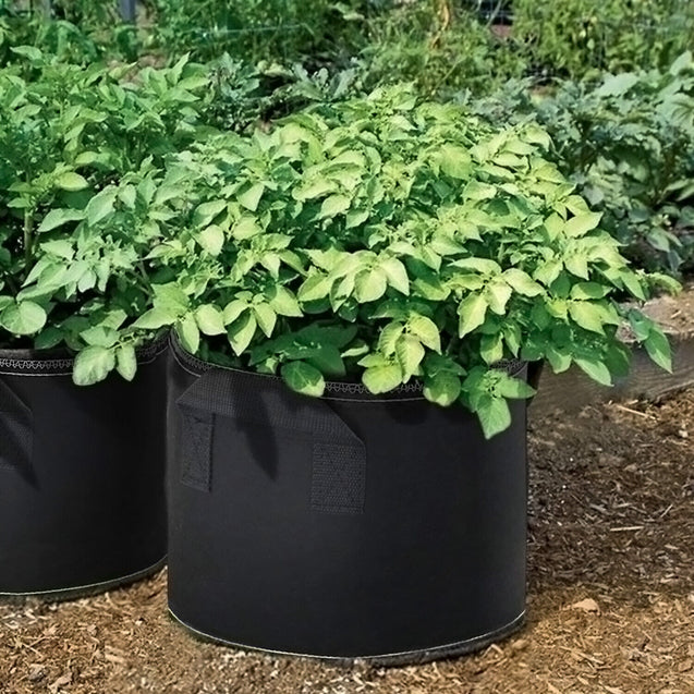 6 Pk Grow Bags Plant Fabric Pot Nursery Soil Bag with Handles Thickened Nonwoven