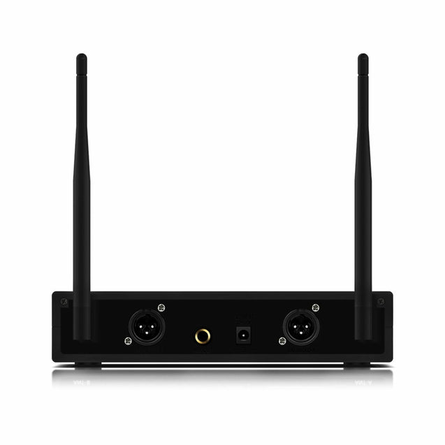 Professional 2 Channel UHF Wireless Dual Microphone Cordless Handheld Mic System
