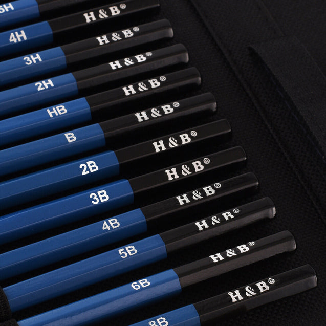 51pcs Professional Drawing Artist Kit Set Pencils and Sketch Charcoal Art & Bag