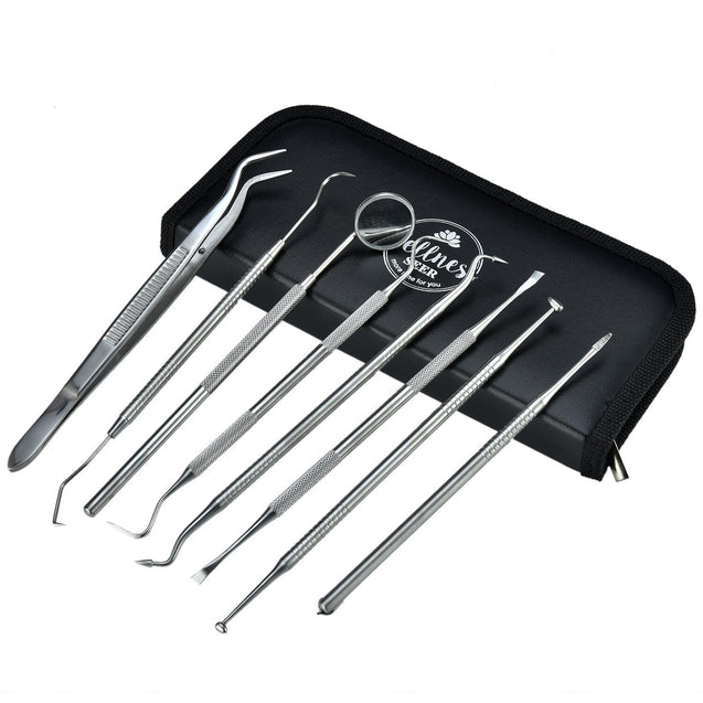 Professional Dental Oral Hygiene Kit 8 Tools Deep Cleaning Teeth Care Travel Set