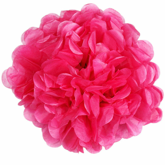 Paper Flower Tissue Pom Pom Hanging Ball Wedding Babyshower Party Decor 12PCS