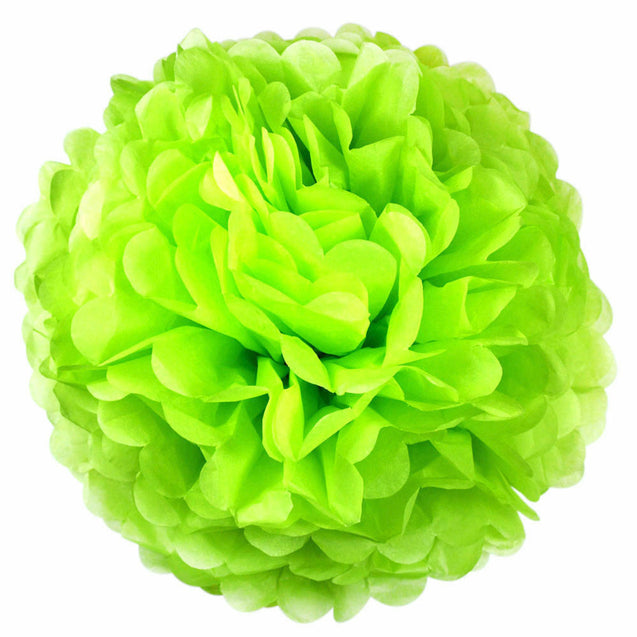 Paper Flower Tissue Pom Pom Hanging Ball Wedding Babyshower Party Decor 12PCS