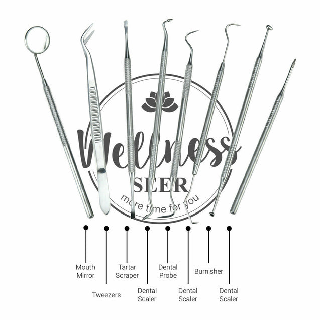 Professional Dental Oral Hygiene Kit 8 Tools Deep Cleaning Teeth Care Travel Set