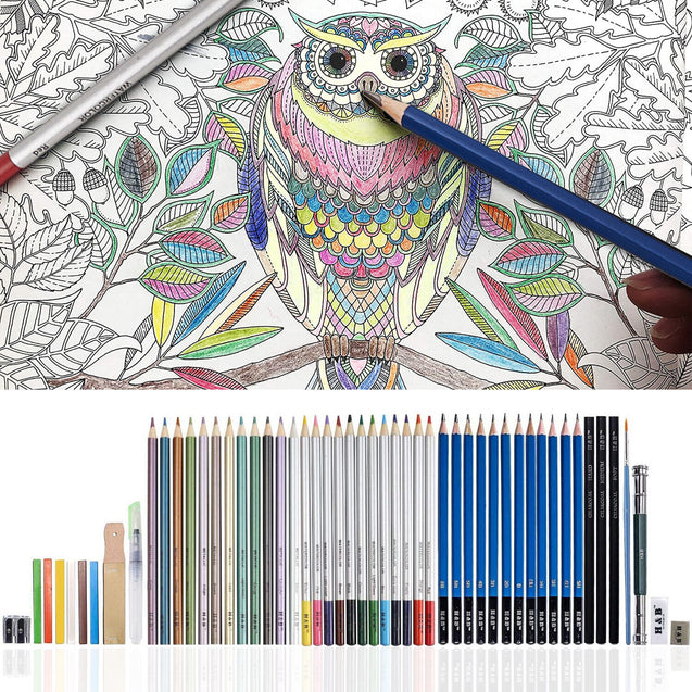 51pcs Professional Drawing Artist Kit Set Pencils and Sketch Charcoal Art & Bag