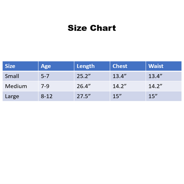 Halloween Honey Bumble Bee Dress Cute Adorable Pretty Custom School Play Costume