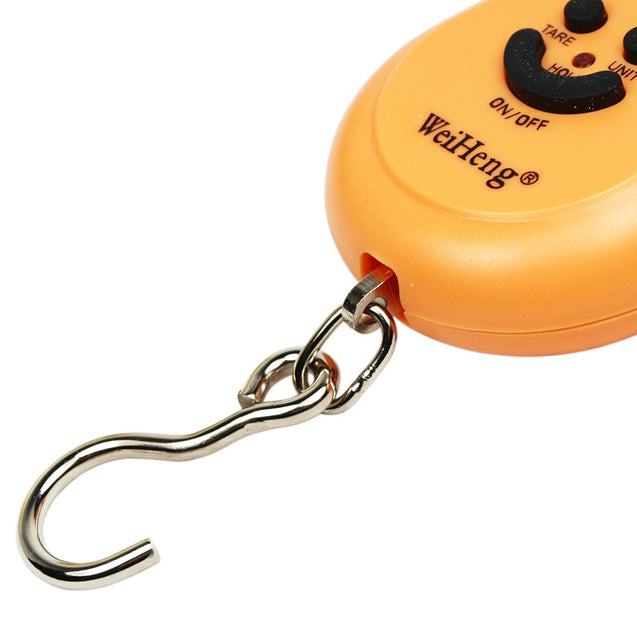 50Kg / 5g-10g Portable Digital Hanging / Fishing Scale with Lighted LCD Display - Anyvolume.com