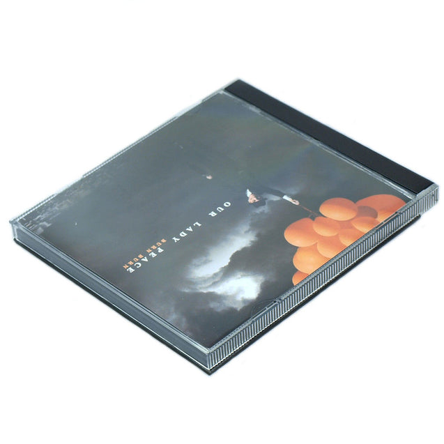 Horizon CDS-100 100g x 0.01g CD Case Style Portable Digital Precision Scale - Anyvolume.com
