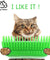 Cat Pet Self Groomer Brush Wall Corner Grooming Massage Comb Toy & Catnip