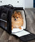 Pet Dog /Small Cat Carrier Soft Sided Comfort Bag Travel Case Airline Approved
