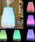 Essential Oil Aroma Diffuse Aromatherapy LED Ultrasonic Humidifier Air Purifier