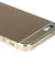 Gold Full Body Wrap Decal Skin Sticker + Stylus + Clear Cover for iPhone 5 5S