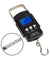 LCD Electronic Fishing Scale Portable Digital Luggage Weight Hanging Hook 50KG