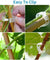 250 PCS Tomato Clips 23 mm Trellis Support Vegetable Garden Plant Binder