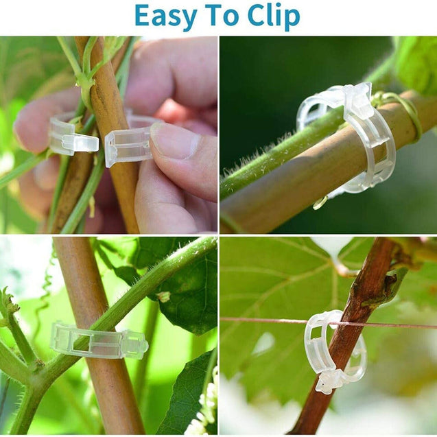 250 PCS Tomato Clips 23 mm Trellis Support Vegetable Garden Plant Binder