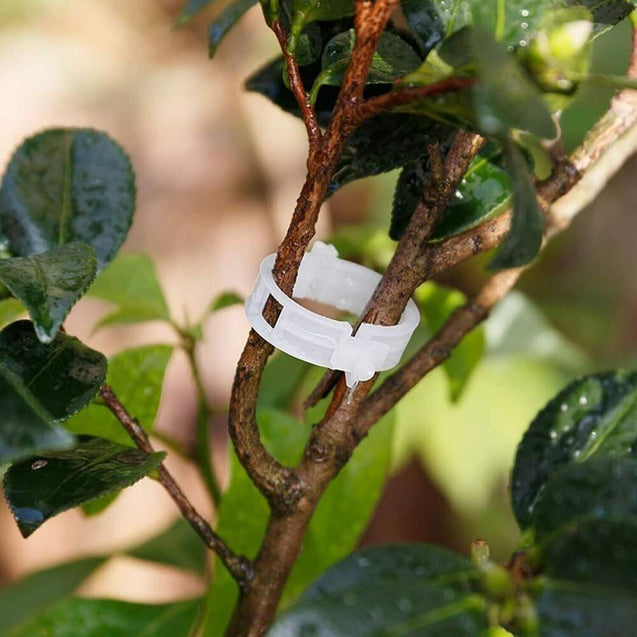 250 PCS Tomato Clips 23 mm Trellis Support Vegetable Garden Plant Binder