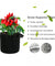 6 Pk Grow Bags Plant Fabric Pot Nursery Soil Bag with Handles Thickened Nonwoven
