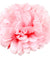 Paper Flower Tissue Pom Pom Hanging Ball Wedding Babyshower Party Decor 12PCS