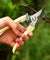 4 PCS Garden Tool - Mini Hand Saw, Curved Blade Trimmer, Pruning Shears Set