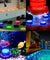 Waterproof Underwater Led Lights w/Remote for Swimming Pool Fountain Hot tube