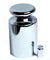1kg 1000g Calibration Weight with Free 10 Gram Test Weight for Digital Scales - Anyvolume.com