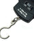 110lbs  5g-10g Dual Accuracy Portable Digital Hanging Scale Fishing / Luggage - Anyvolume.com
