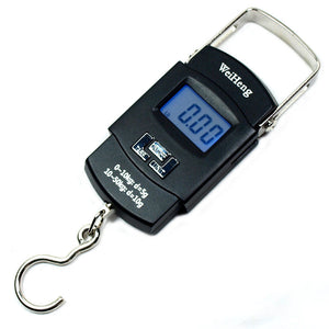 110lbs  5g-10g Dual Accuracy Portable Digital Hanging Scale Fishing / Luggage - Anyvolume.com