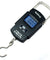 110lbs  5g-10g Dual Accuracy Portable Digital Hanging Scale Fishing / Luggage - Anyvolume.com