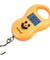 50Kg / 5g-10g Portable Digital Hanging / Fishing Scale with Lighted LCD Display - Anyvolume.com