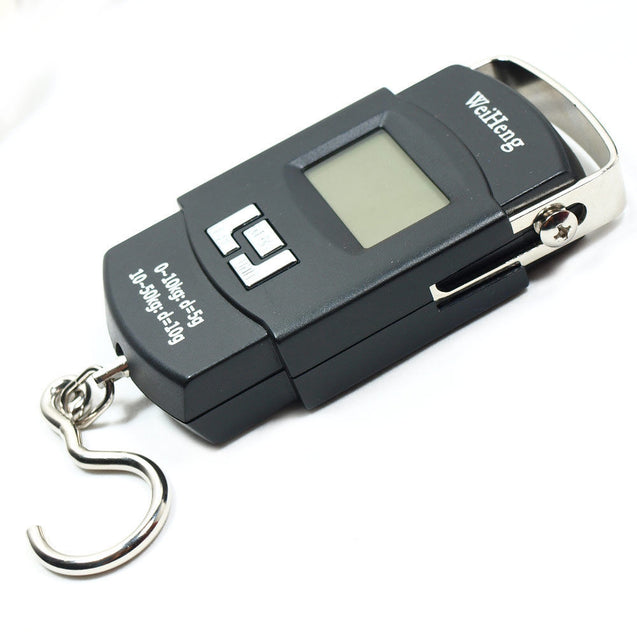 110lbs  5g-10g Dual Accuracy Portable Digital Hanging Scale Fishing / Luggage - Anyvolume.com