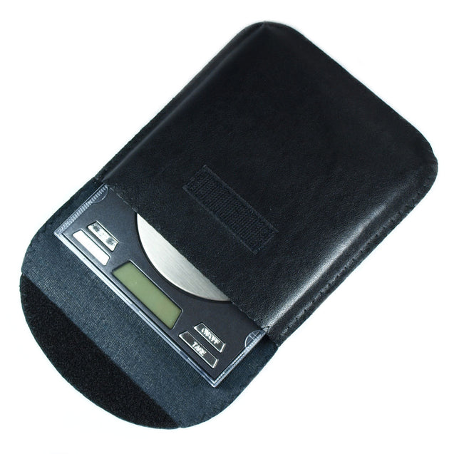 Wholesale 10 PCS 100g x 0.01g Horizon CDS100 High Precision Digital Pocket Scale - Anyvolume.com