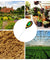 4 in 1 PH Tester Soil Water Moisture Light Test Meter for Garden Plant Seeding